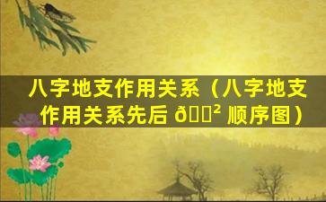 八字地支作用关系（八字地支作用关系先后 🌲 顺序图）